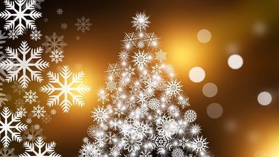 christmas-tree-574742_960_720.jpg