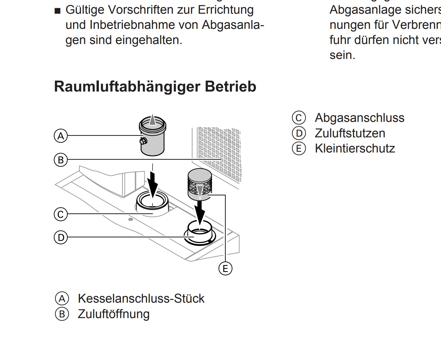 Montageanleitung_vitoladens_300c.pdf_Kleintirschutz.jpg